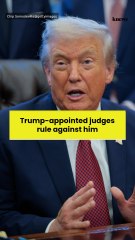 Trump-appointed judges rule against him