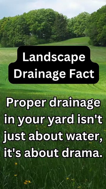 Water Drainage Drama Lawn Frogs Landscaping