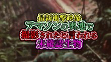 最新衝撃映像 アマゾンの奥地で撮影されたと言われる 未確認生物