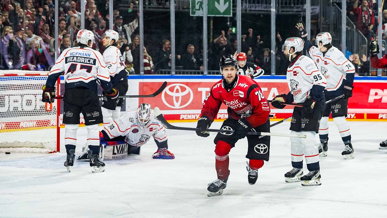 Elf Tore in Köln: Haie halten Ice Tigers in Schach