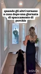 Michele monopoli story