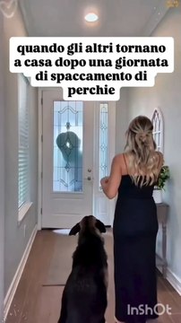 Michele monopoli story