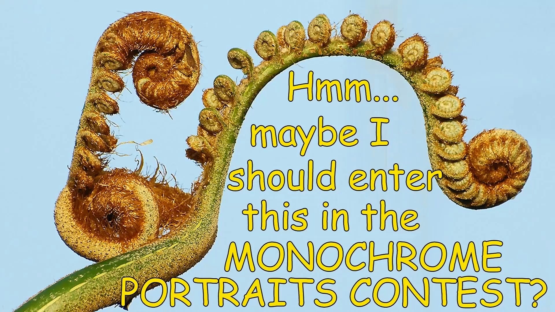 ⁣Internet Reality Check 3: Viewbug