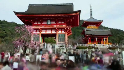 ¿Te lo vas a Comer? El fraude de las carnes de moda