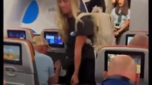 A plane erupts in drama after a man confronts a woman for stealing his charger. Instead of siding with him, many online defended her, saying his attitude made him more hateable than the thief.