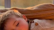 What a touching sight! A small child sleeping peacefully next to a puppy, creating an atmosphere of tenderness and warmth. 🐶💤❤️ #baby #puppy #ai