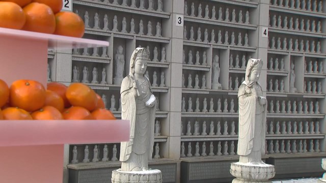 제철 맞은 향긋한 감귤...봉은사서 '감귤데이' 축제 / YTN