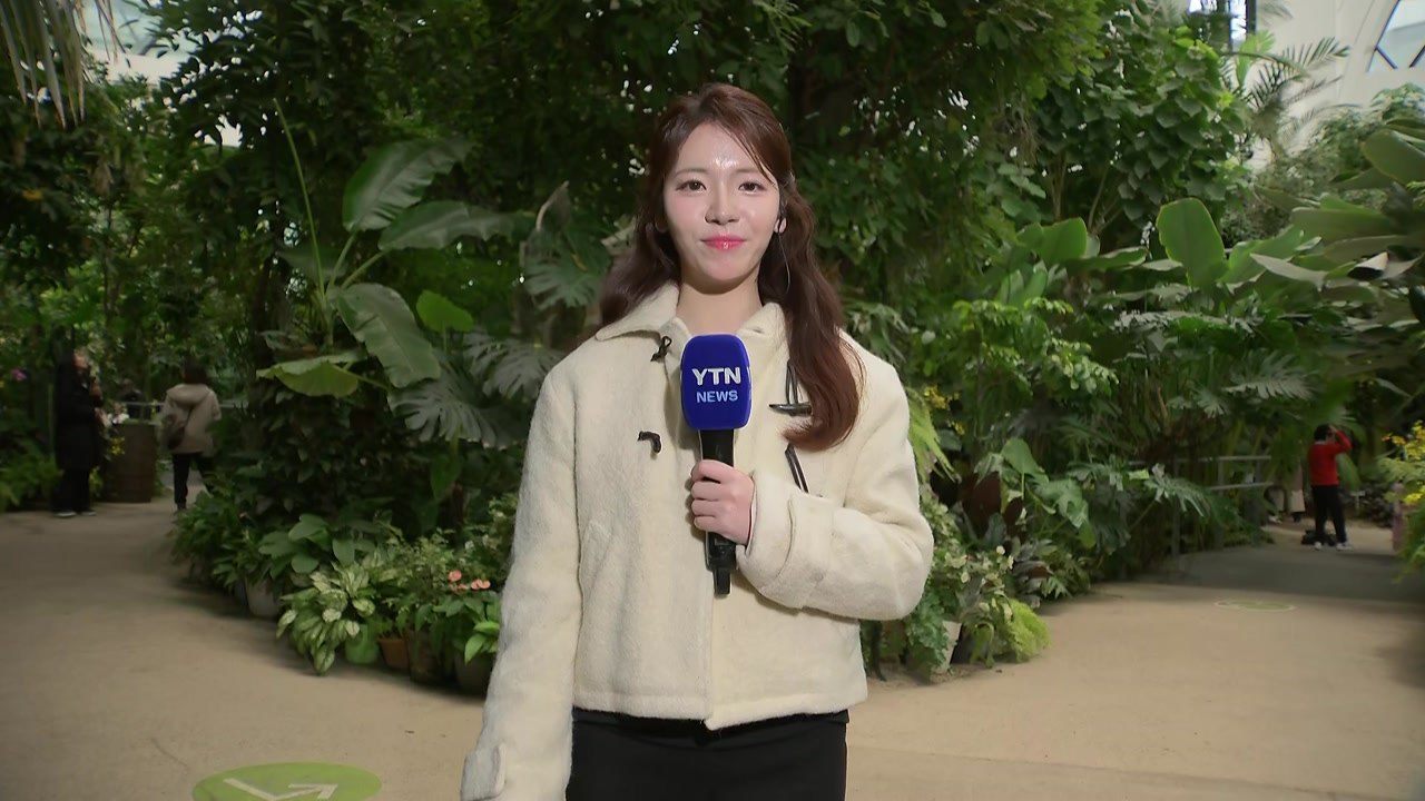 [날씨] 동장군 물러나고 추위 풀려...중부 중심 약한 비·눈 / YTN
