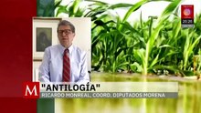 Ley arancelaria en debate: El impacto en el mercado interno y los tratados comerciales | Antilogía