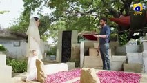 Mohra Episode 70 Teaser l Mohra Episode 70 Promo l Review l DraMee