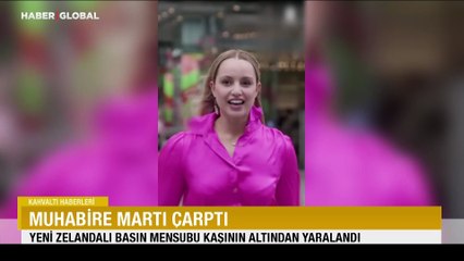 Muhabire martı çarptı