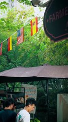 A Sweet Deception Shortmintz