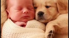 Puppy Guarding the Baby 😭❤️.