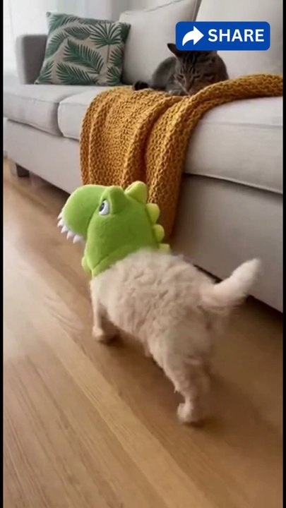 Cat Wakes Dog With a Monster Mask 😂🐱🐶💥.