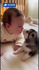 Whisper Awoo 😂🐶.