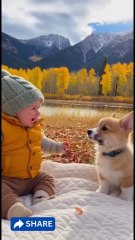 Laugh vs Awoo Battle 😆🐶.