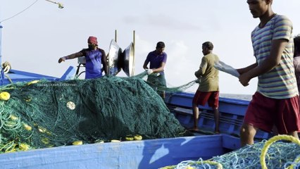 Unseen Gulf Depths: Catching Rare Ocean Predators on a Perfect Day