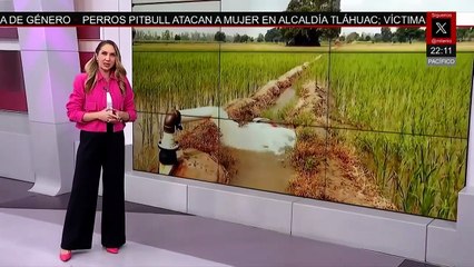 Primera reunión trilateral entre México, Canadá y EU | Paola Barquet, 5 de diciembre de 2025