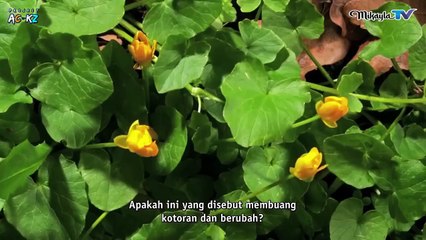 (Episode 15 - 21) A Record of A Mortal’s Journey to Immortality  Subtitle Indonesia