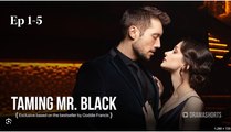 Taming Mr. Black Full Movies English Sub