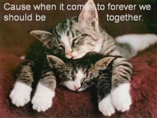 Rachael Starr - To Forever (Moonbeam Remix)