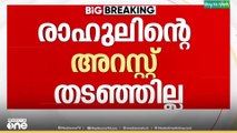 രാഹുലിന്റെ അറസ്റ്റ് തടയാതെ കോടതി; ഹരജി തിങ്കളാഴ്ച പരിഗണിക്കും
