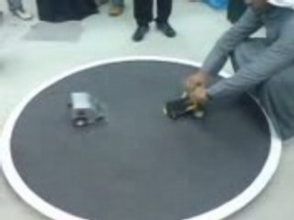 SUMO ROBOT 6