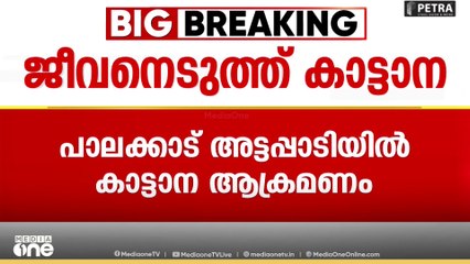 പാലക്കാട് കടുവ സെൻസസിന് പോയ വനം വകുപ്പ് ഉദ്യോഗസ്ഥൻ കാട്ടാനയാക്രമണത്തിൽ കൊല്ലപ്പെട്ടു