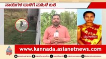 Rottweiler Attack in Vannuru Kills Woman