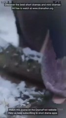 Leveling Up With Five Daughters / My Five Daughters And Their Mighty Mothers