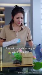 Paws Speak Louder Than Words