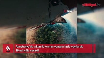 Avustralya'da orman yangınları: 16 ev küle döndü