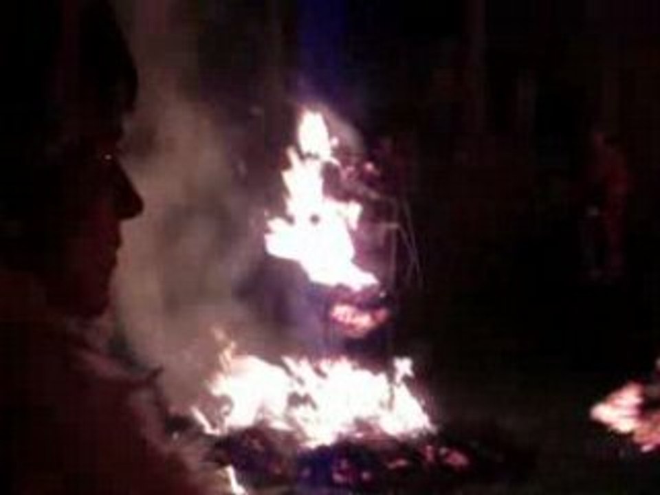 carnaval bienne