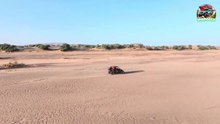 Morocco Travel Safari  🏜  Merzouga 🏞 4×4 Day 2