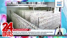 #KuyaKimAnoNa? Express (Dec. 2-6, 2025) - 14-ft na buwaya, nahuli sa Bataraza...| 24 Oras