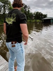 Watch This Seal Make an Incredible Jump! 🌊 Out of Water and onto the Wood #shorts #trending #sea