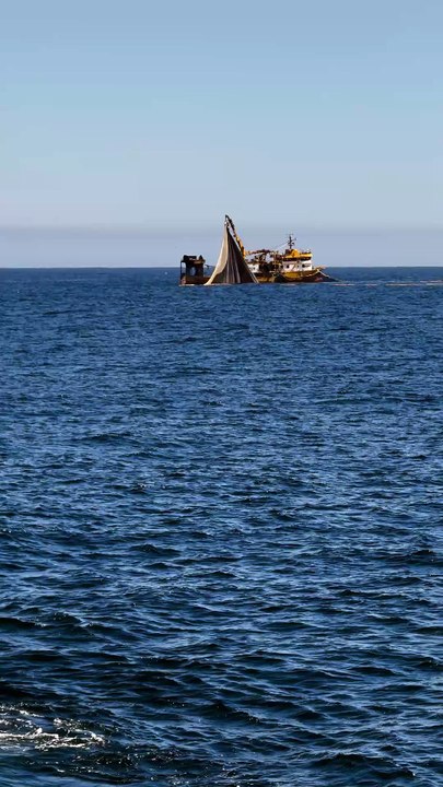 Nature , Ocean and Fishing #fishingboat#fishinglife