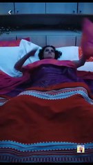 Viaje Salvaje | #MiniCineLatino en Español