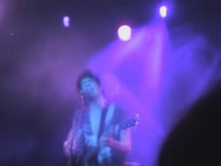 BB Brunes Show Montage Video + Photos