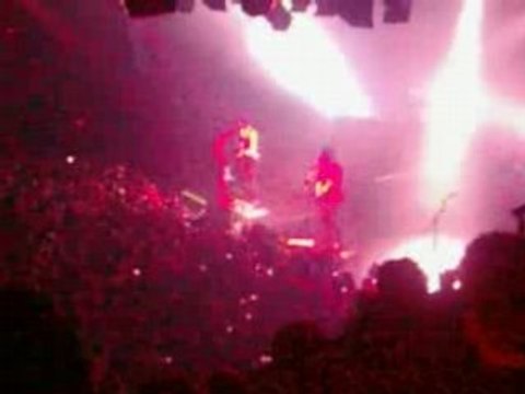 concert panic at the disco camisado ?