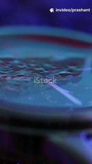 luxury watches, watch history, forgotten watches, vintage luxury watches, rare timepieces, watch collecting, high-end watches, luxury timepieces, iconic watches, watch enthusiasts, luxury watch brands, horology, watch design, luxury lifestyle, timepiece e