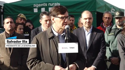 Cataluña amplía la investigación sobre el origen de la peste porcina