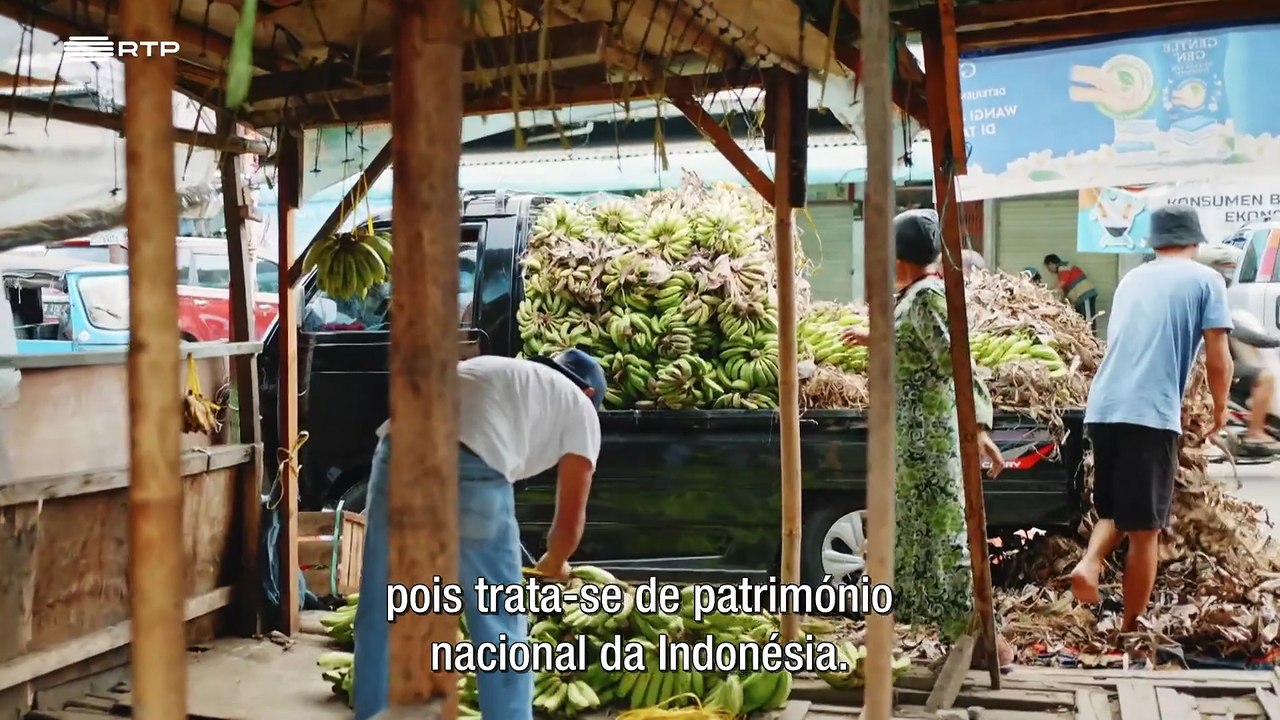 Quem Manda no Mundo S01E03-ALIMENTAÇÃO
