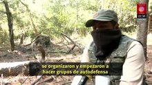 Pobladores de Milpa Alta forman guardia contra talamontes