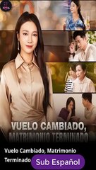 Sub EspaÑOl Vuelo Cambiado, Matrimonio Terminado Serie Completa
