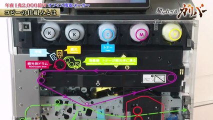 知られざるガリバー 動画　2025年日12月6日