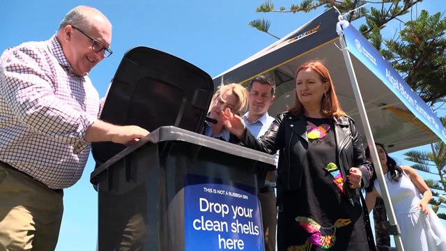 Henley Beach community recycling shells to restore oyster reefs