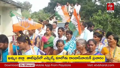 పల్లెల్లో పంచాయతీ ఎన్నికల ప్రచార జోరు - ఇంటింటికీ తిరుగుతున్న అభ్యర్థులు