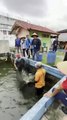 Program Pangan di Balik Dinding Lapas Pekanbaru Panen Perdana 2 Ton Patin