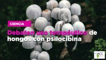 Debaten uso terapéutico de hongos con psilocibina